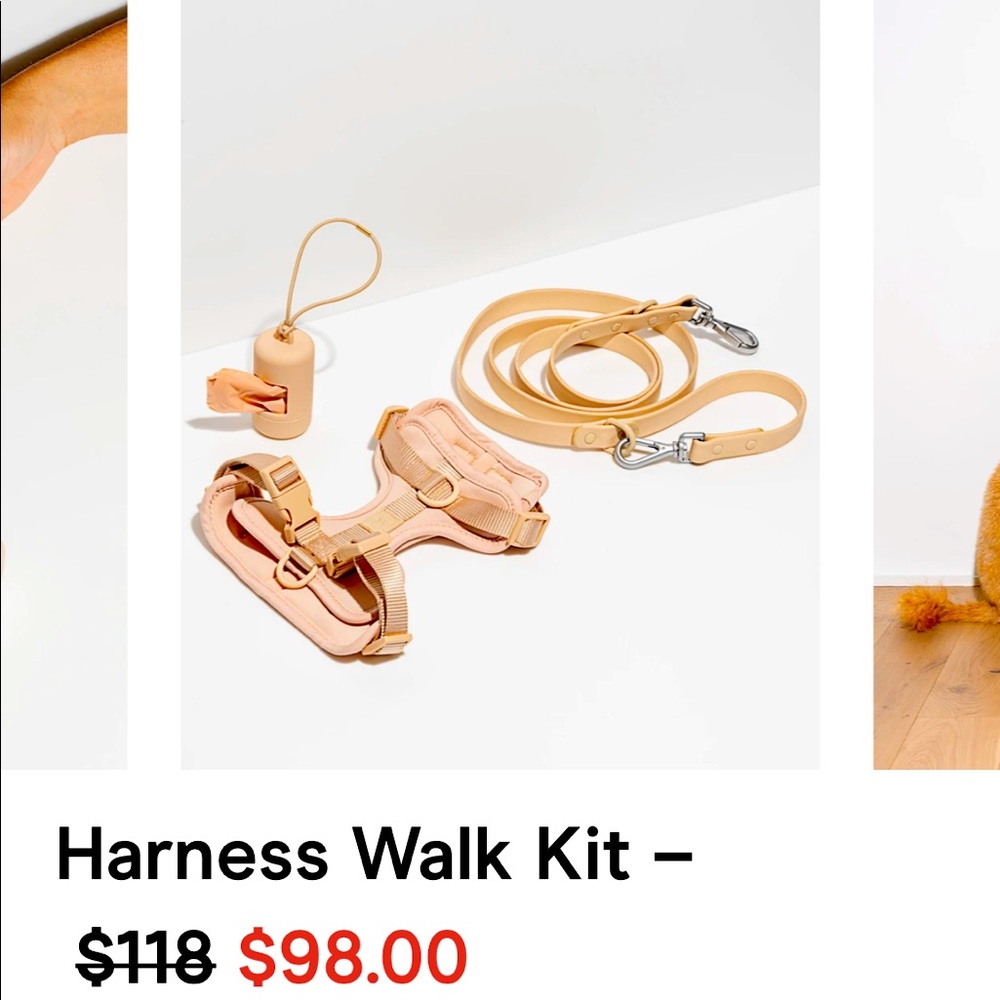 Wild One leash, poo bag, and harness set in Tan.